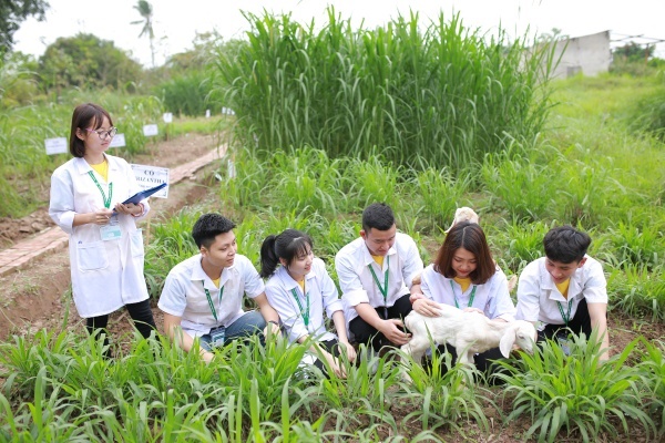 Điểm chuẩn chuyên ngành kỹ sư nông nghiệp tại các trường ở mức trung bình.